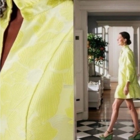 Citron Fil Coupe Palmerston Tuckernuck Jacquard Dress - Picture 8 of 9